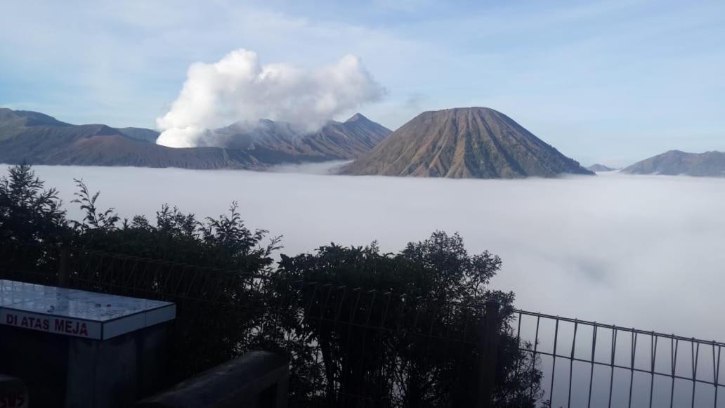 チェマラ インダー ホテル ブロモ山 エクステリア 写真