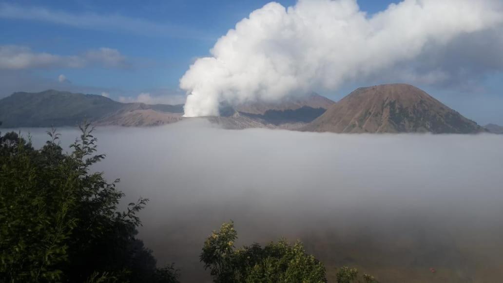 チェマラ インダー ホテル ブロモ山 エクステリア 写真